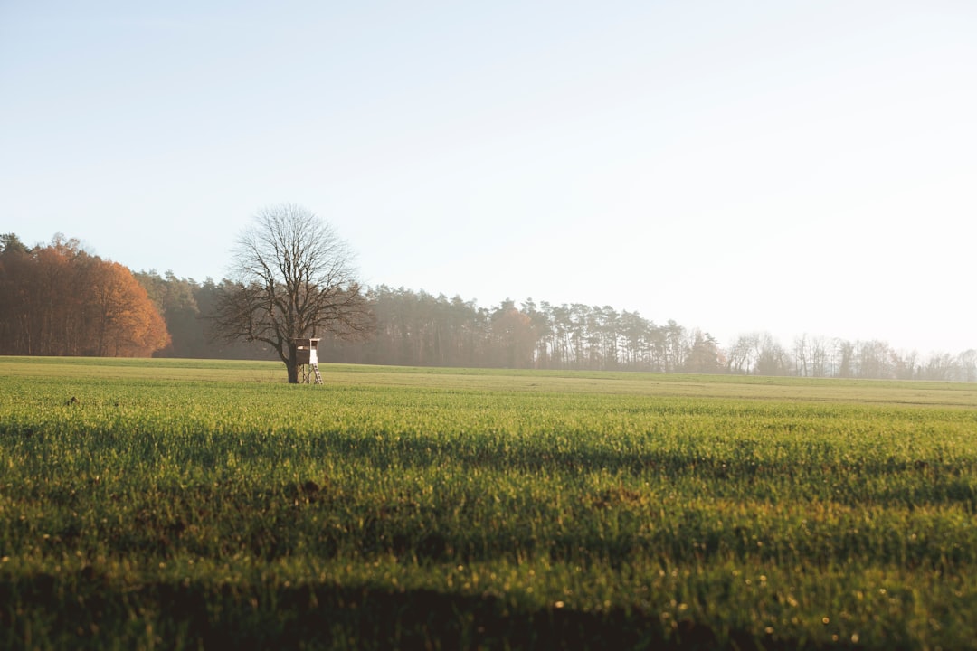 Het onderwerp in een zin herkennen: zo werkt het